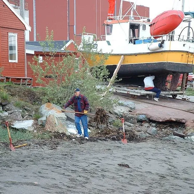 Mann rydder tang på strand foran båt som står på land.