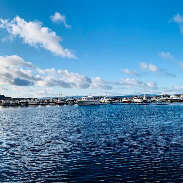 Rekke av fritidsbåter fortøyd i småbåthavn under blå himmel.