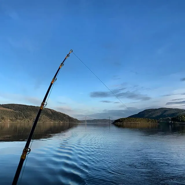Fiskestang rettet utover rolig fjord med lav kveldssol.