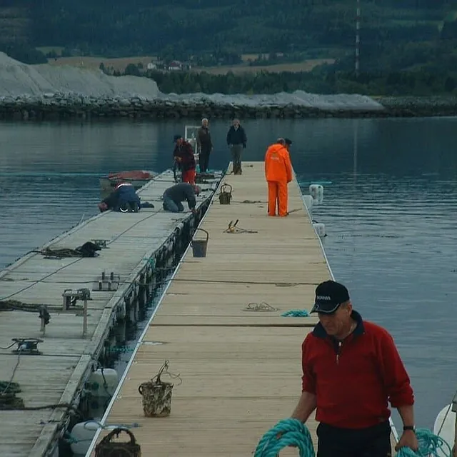 Flere personer arbeider med tauverk på lang flytebrygge i havn.