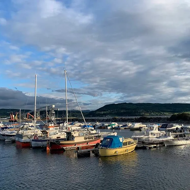 Småbåthavn med tettliggende båter og grønn ås i bakgrunnen.