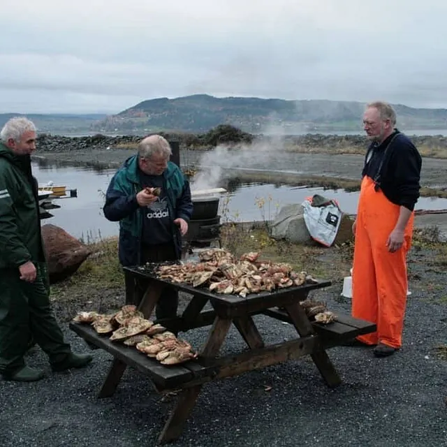 Fire menn samles rundt bord med sjømat ved kai.