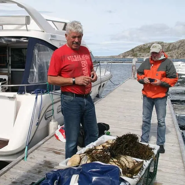 To menn inspiserer fangst og tang på brygge ved fritidsbåt.